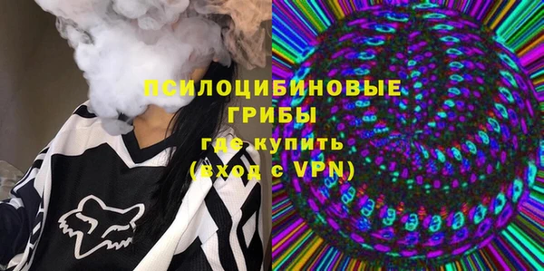 mdpv Горняк